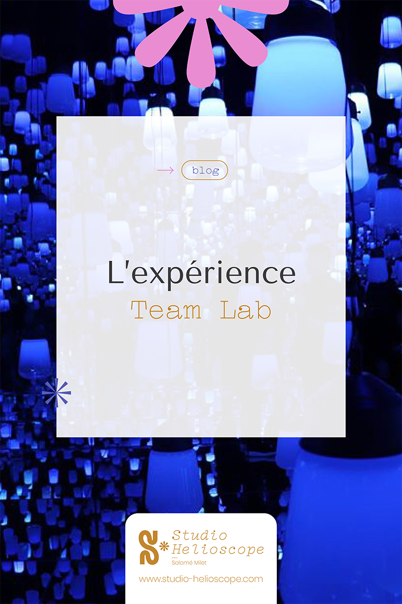 expérience teamlab