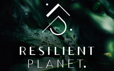 Resilient Planet – Identité visuelle