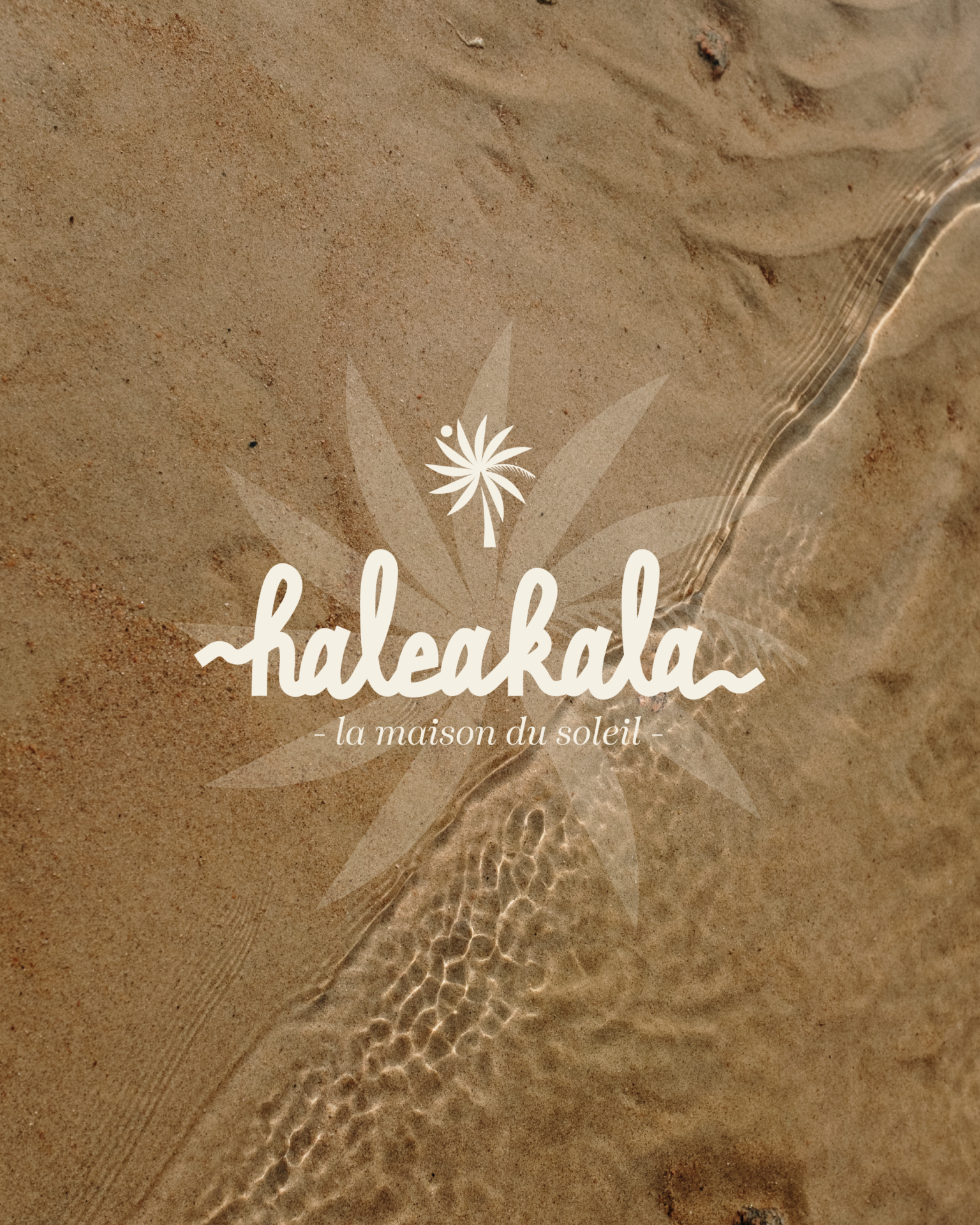 haleakala-04 identité visuelle cosmétique