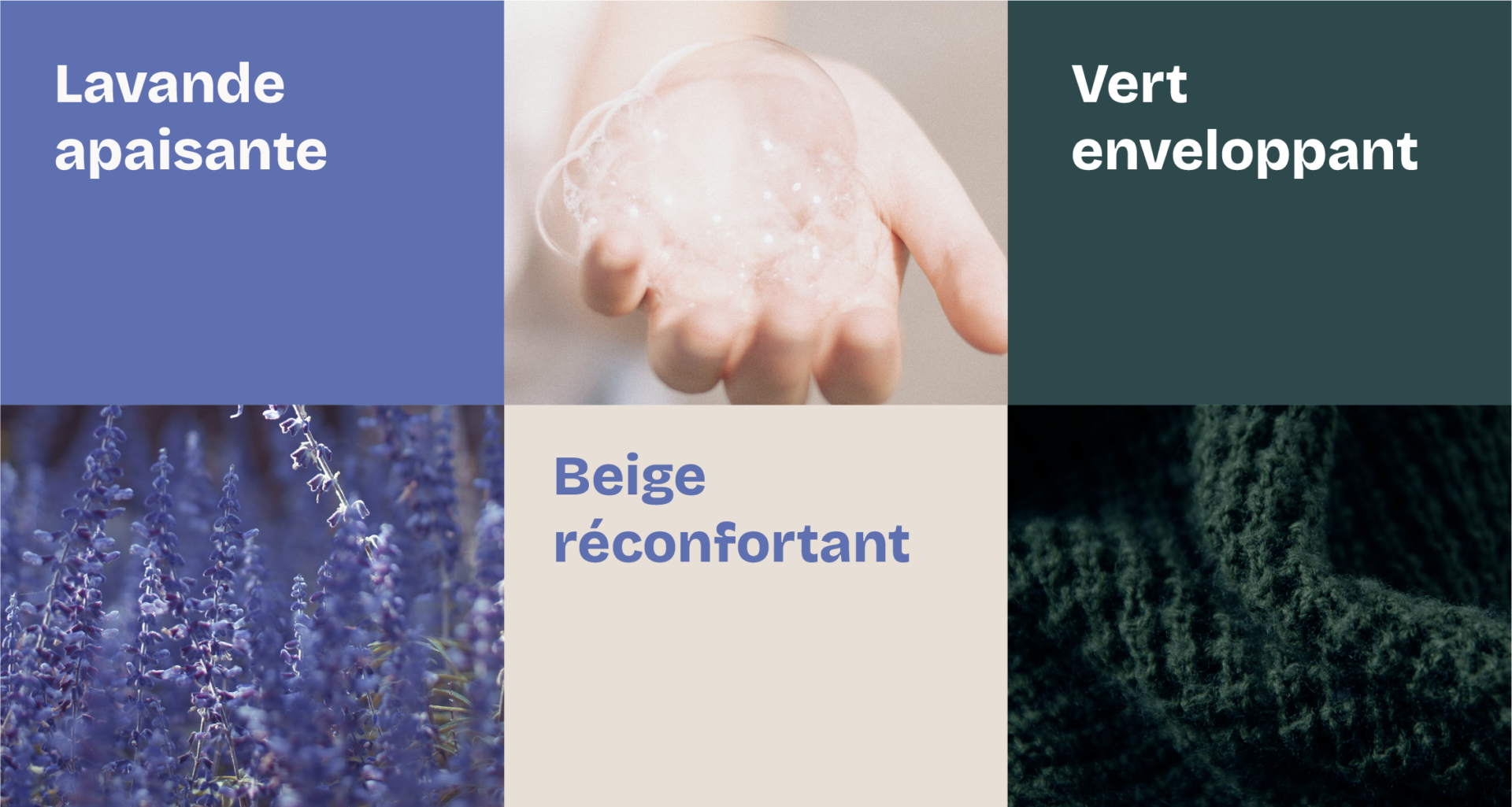 palette de couleur lavande, beige et verte foret